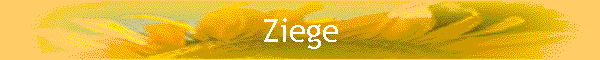 Ziege